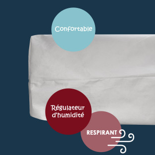Housse Anti Punaise de Lit Housse Anti Punaise de Lit