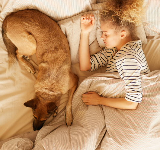 Quel protège-matelas choisir quand on a des animaux ?
