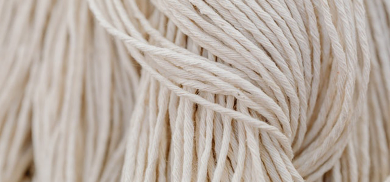 Longues fibres de coton pour percale